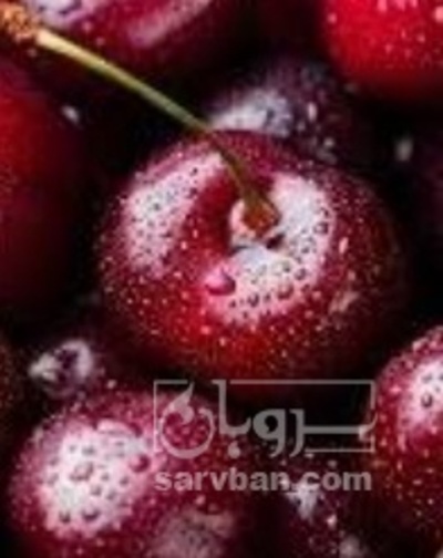 فروش گیلاس