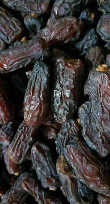 فروش خرما پیارم