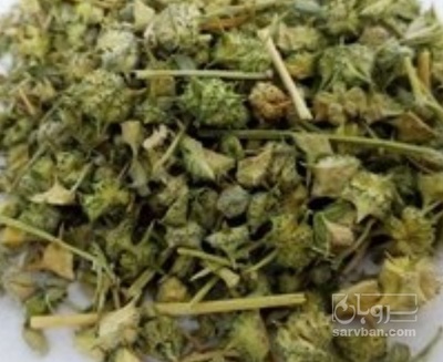 فروش خارخاسک (گیاه‌ دارویی)