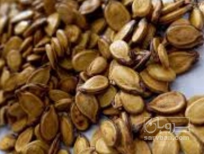 فروش تخمه هندوانه خام