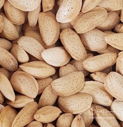 فروش بادام مامایی