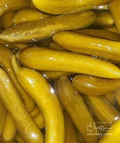 فروش خیار شور سوپر ویژه