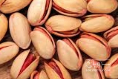 فروش پسته فندقی