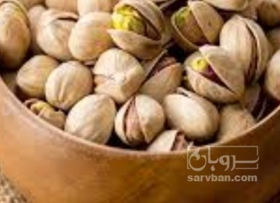 فروش پسته کله قوچی