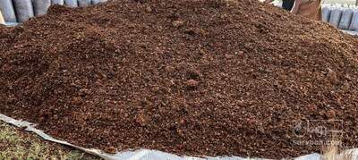 فروش تفاله سیب درختی