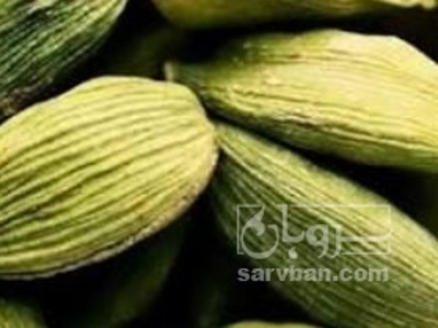 فروش هل (گیاه‌ دارویی)