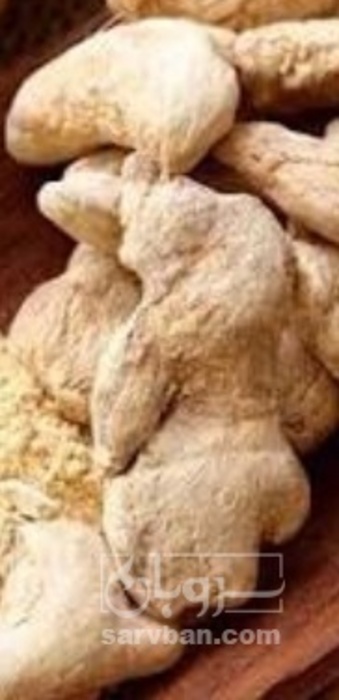 فروش زنجبیل (گیاه‌ دارویی)