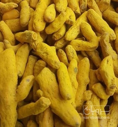 فروش زردچوبه قلم