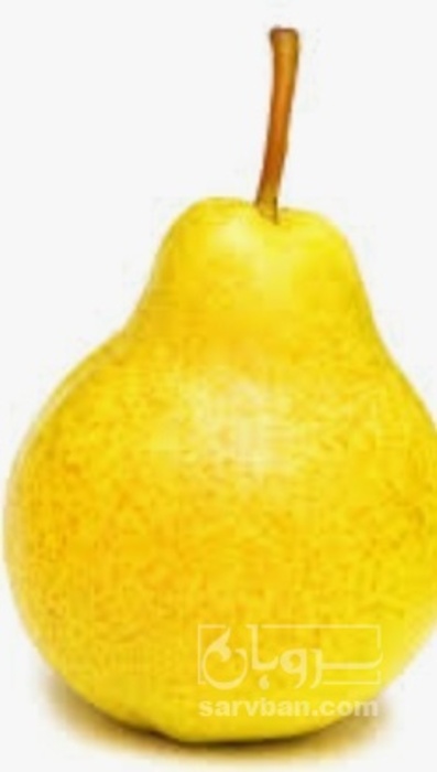 فروش گلابی