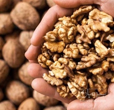 فروش گردو