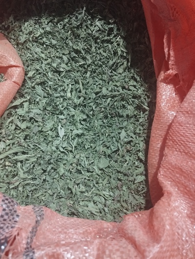 فروش نعناع خشک (گیاه‌ دارویی)