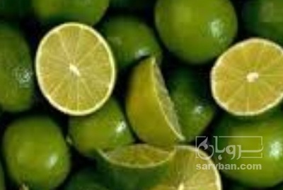 فروش لیمو ترش