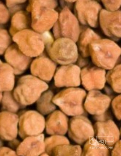 فروش نخود قرمز