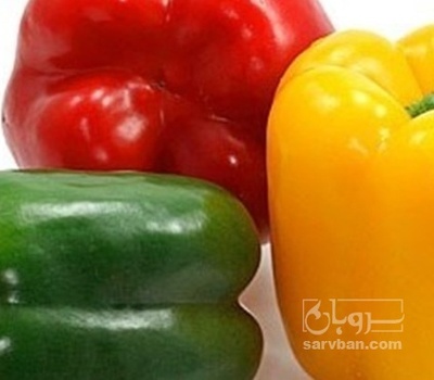 فروش فلفل دلمه ای