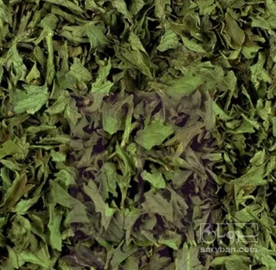 فروش  جعفری خشک  (گیاه‌ دارویی)