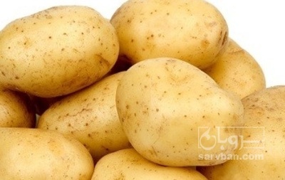 فروش سیب زمینی جلی