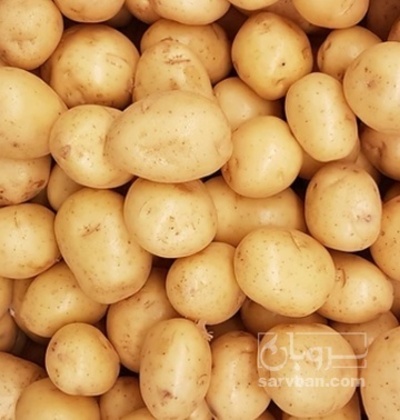 فروش سیب زمینی اگریا