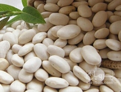 فروش لوبیا سفید