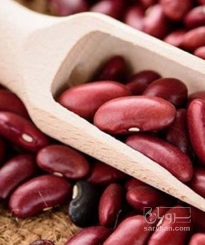 فروش لوبیا قرمز