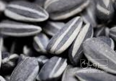 فروش تخمه آفتابگردان بود داده