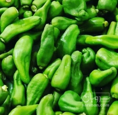 فروش فلفل همدانی