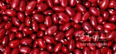 فروش لوبیا قرمز