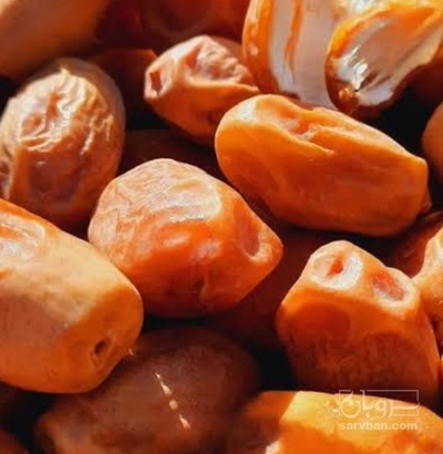 فروش خرما زاهدی