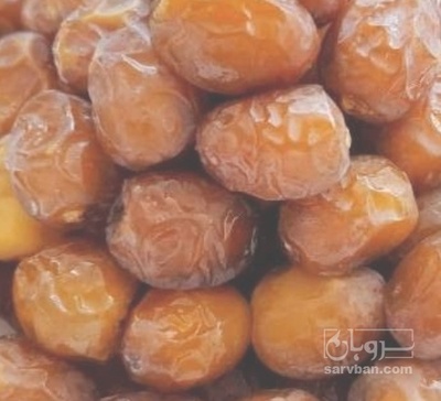 فروش خرما برحی