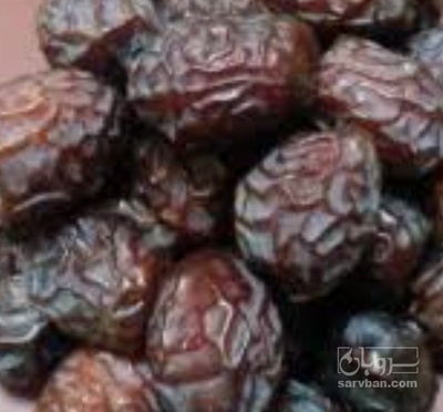 فروش خرما گنتار