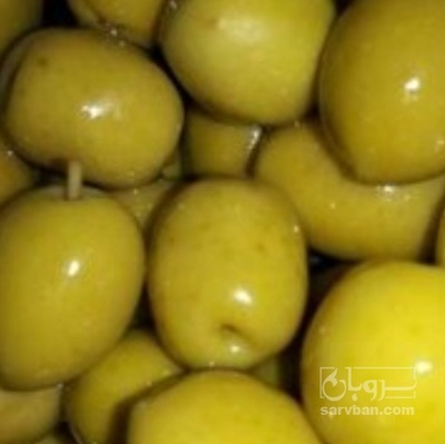 فروش زیتون رویال