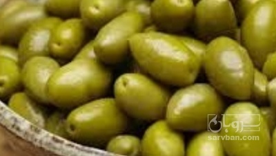 فروش زیتون ممتاز