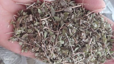 فروش آویشن خشک (گیاه‌ دارویی)