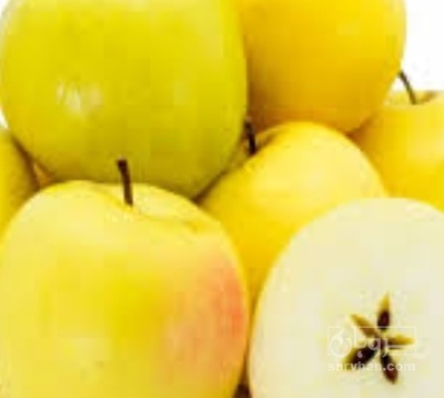 فروش سیب زرد