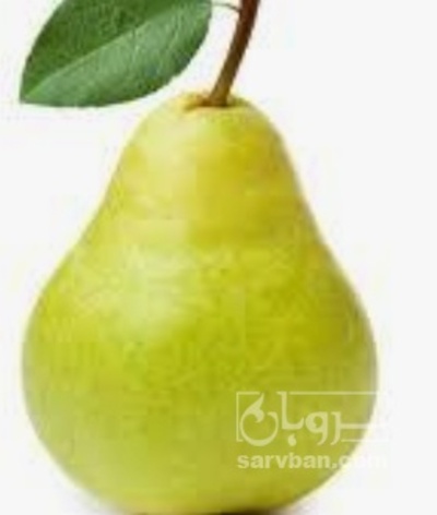 فروش گلابی