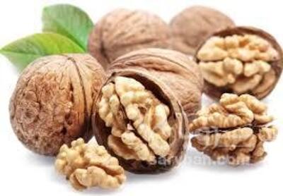 فروش گردو
