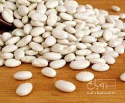 فروش لوبیا سفید
