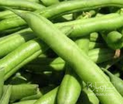 فروش لوبیا سبز