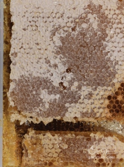 فروش عسل موم دار