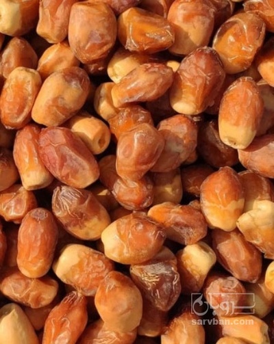 فروش خرما زاهدی