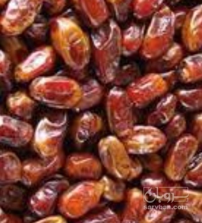 فروش خرما شاهانی