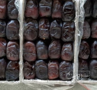 فروش خرما مضافتی
