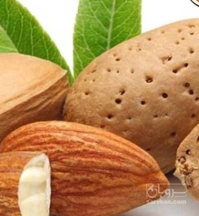 فروش بادام