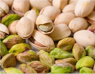 فروش پسته قزوینی