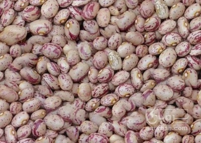 فروش لوبیا چیتی