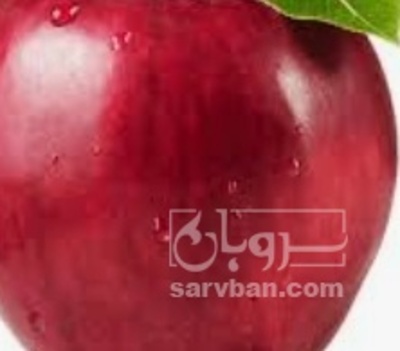فروش سیب قرمز