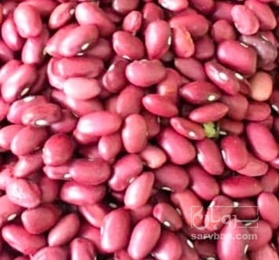 فروش لوبیا قرمز