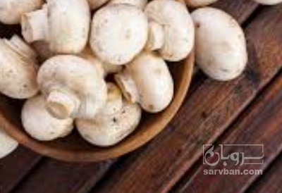 فروش قارچ دکمه ای