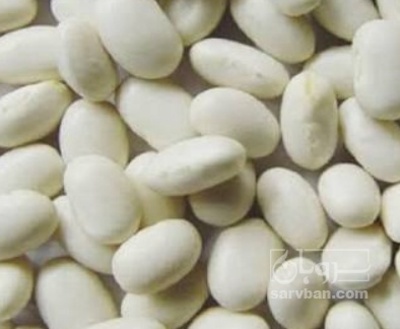فروش لوبیا سفید