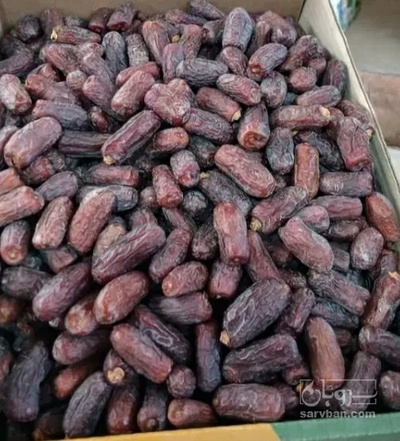 فروش خرما پیارم