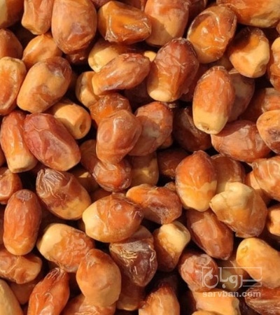 فروش خرما زاهدی